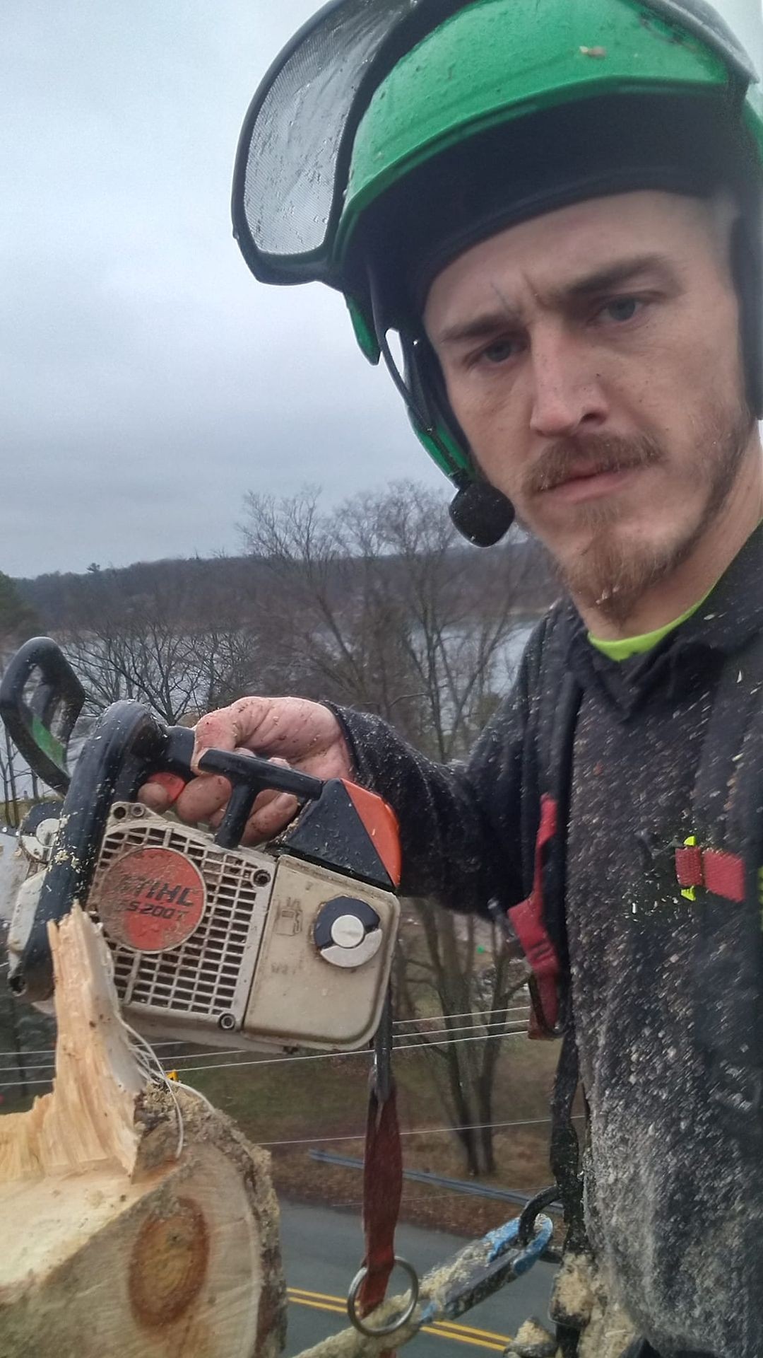 Chief Trees and Consulting Tree Trimming and Pruning