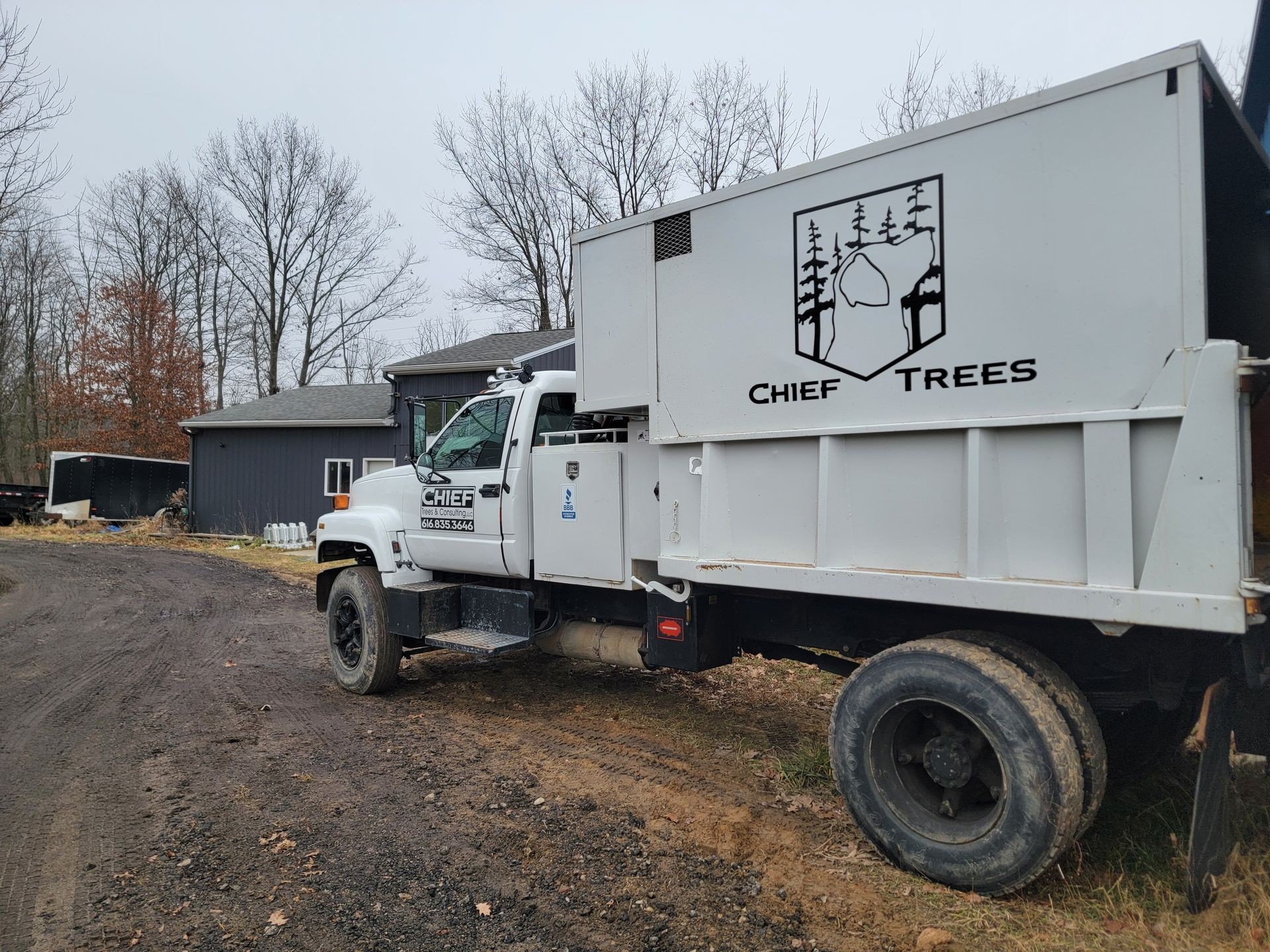 Stump Grinding and Removal