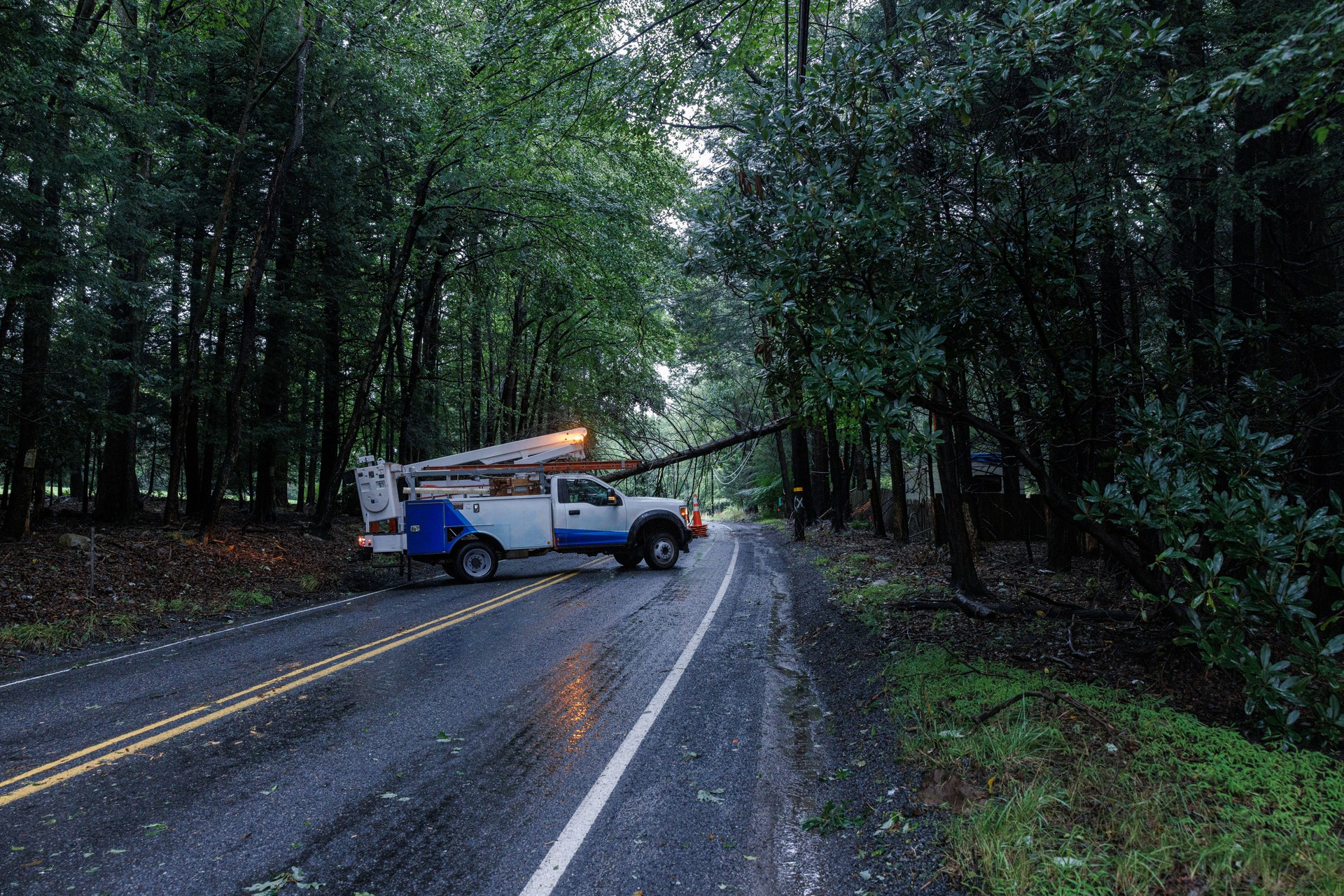 Clearing storm debris on forest road. Utility crew tackles fallen tree in rainy Poconos.
